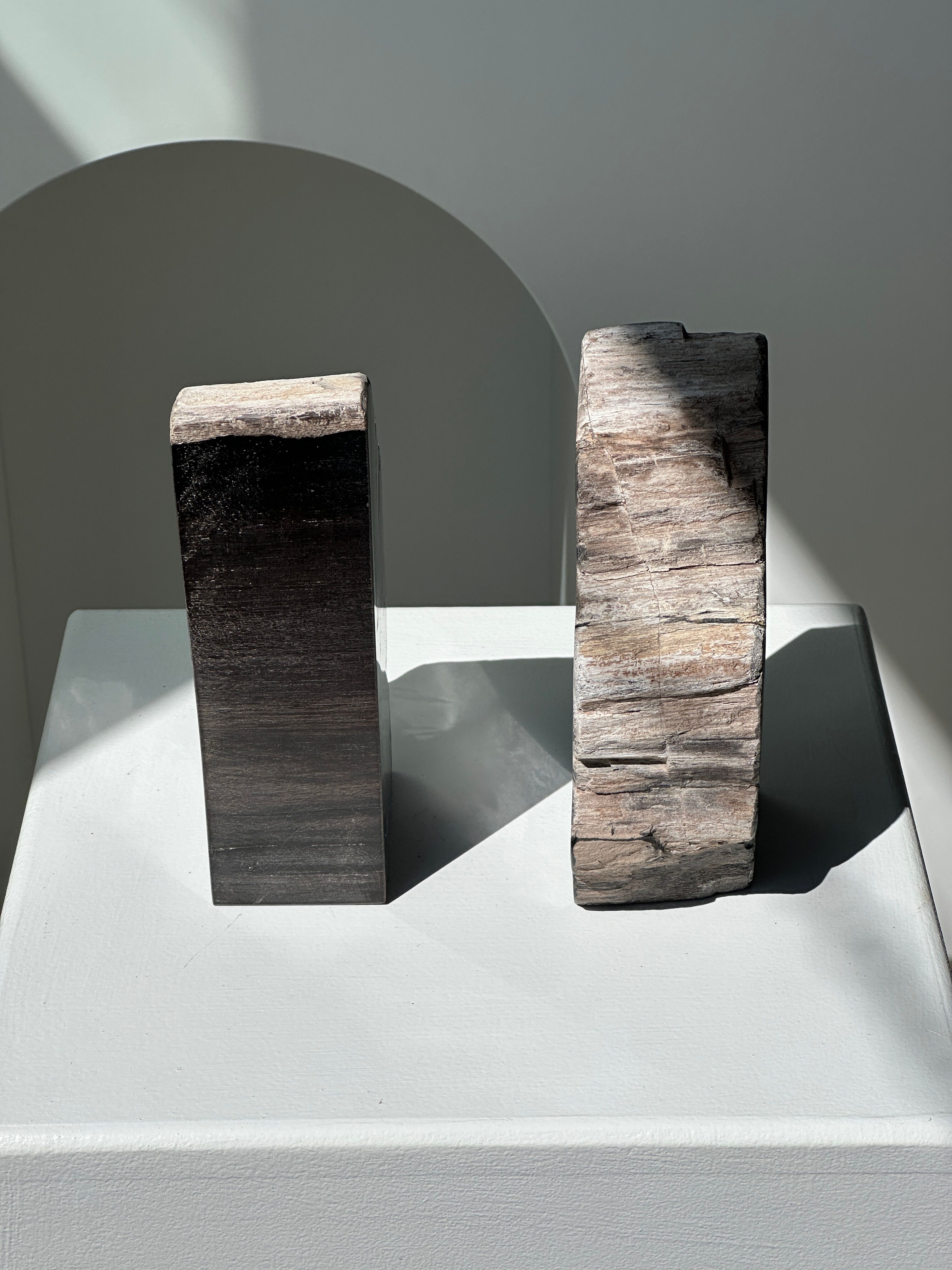 Black petrified wood bookend H17 L17 P6