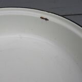 Flat basin in enamelled tole
