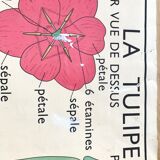 Rossignol pedagogical poster