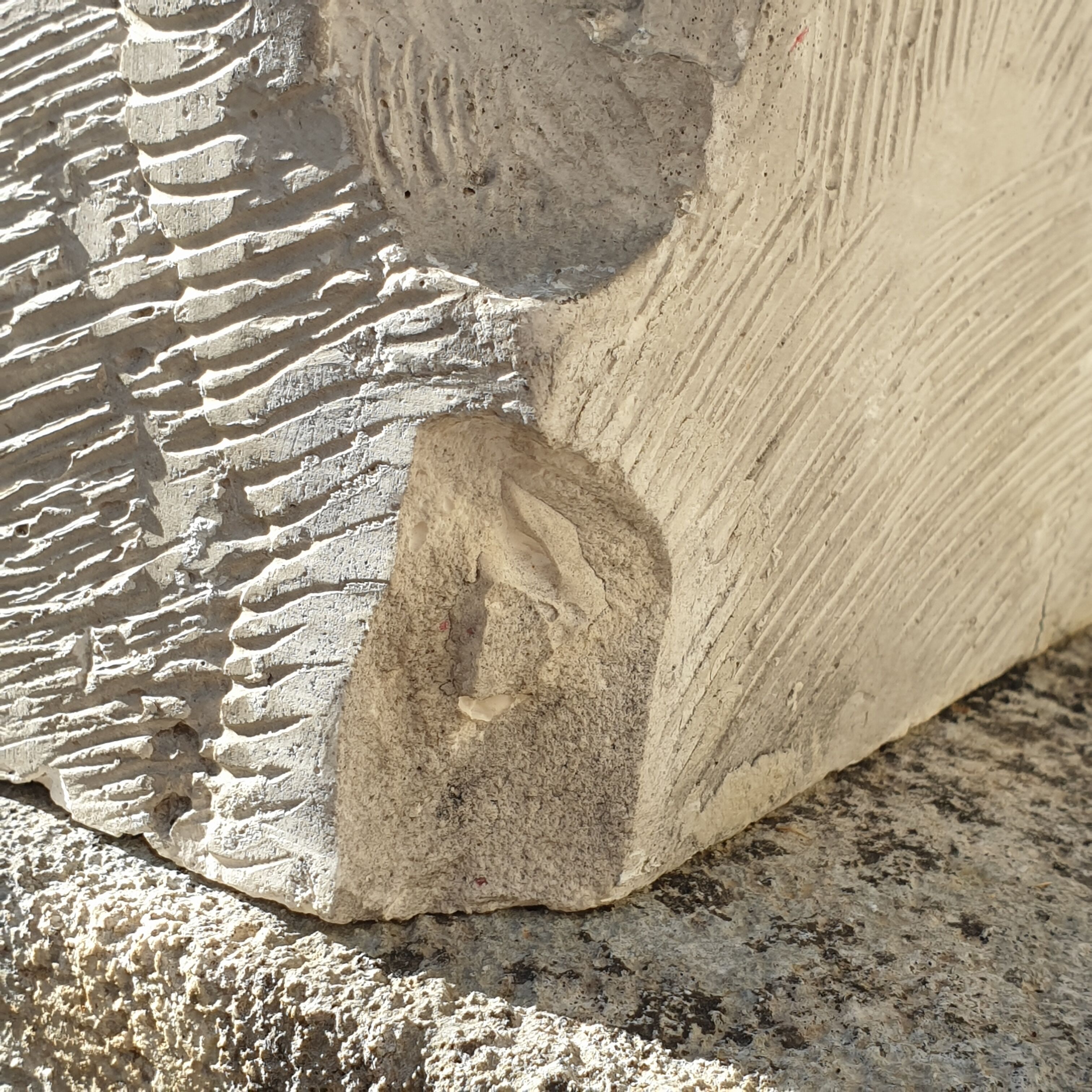 Bust Child in Platre