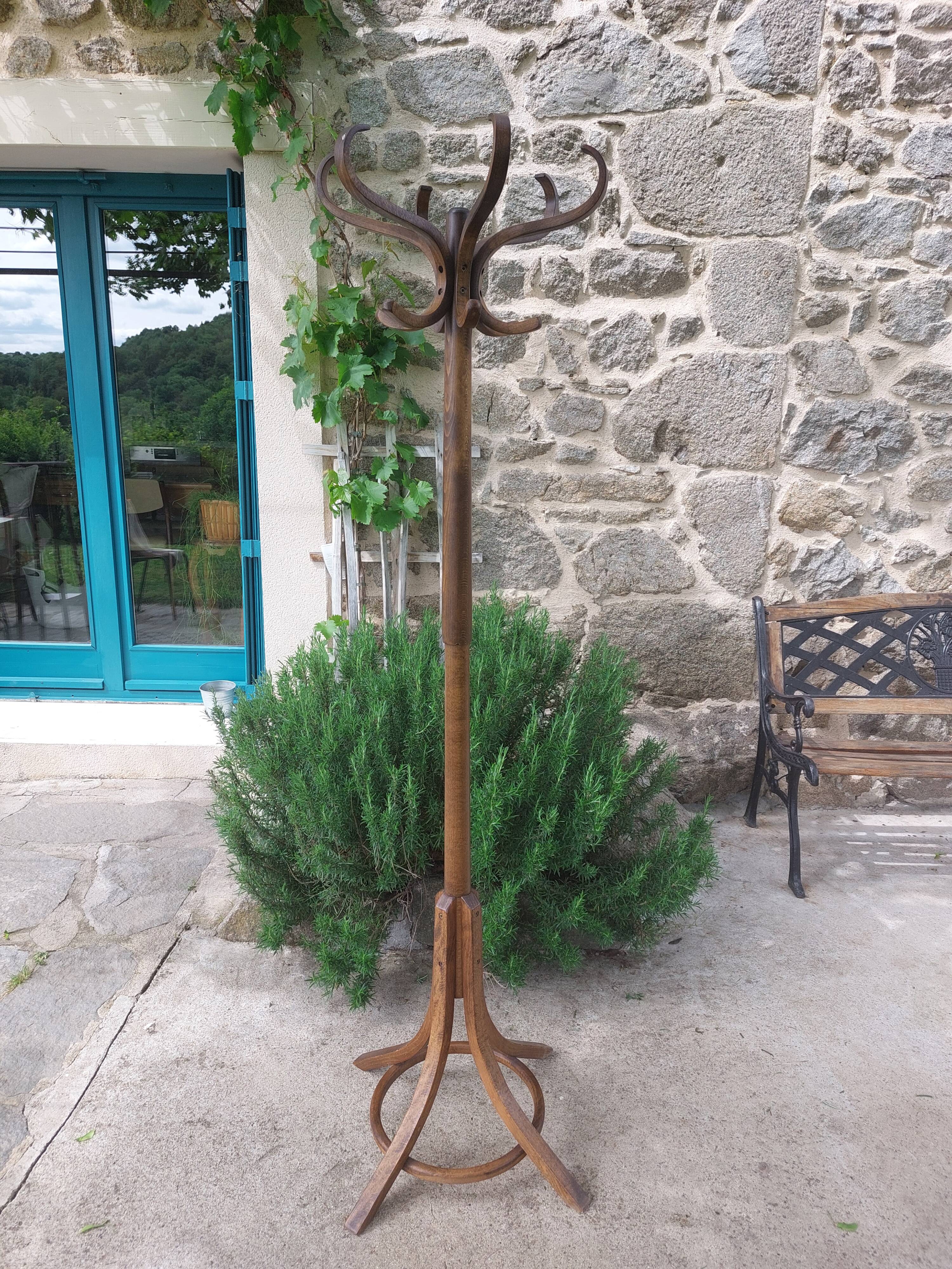 coat rack parrot solid wood, Baumann style