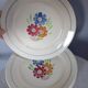 8 old flat plates decorated with flowers, Agnès model by K&G Lunéville