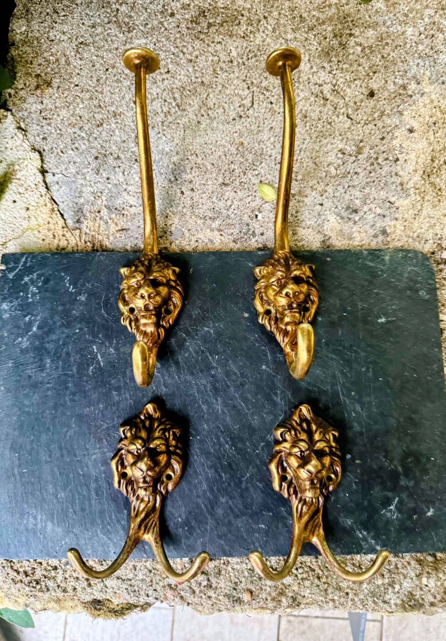 4 lion coat hooks in solid brass Art Nouveau