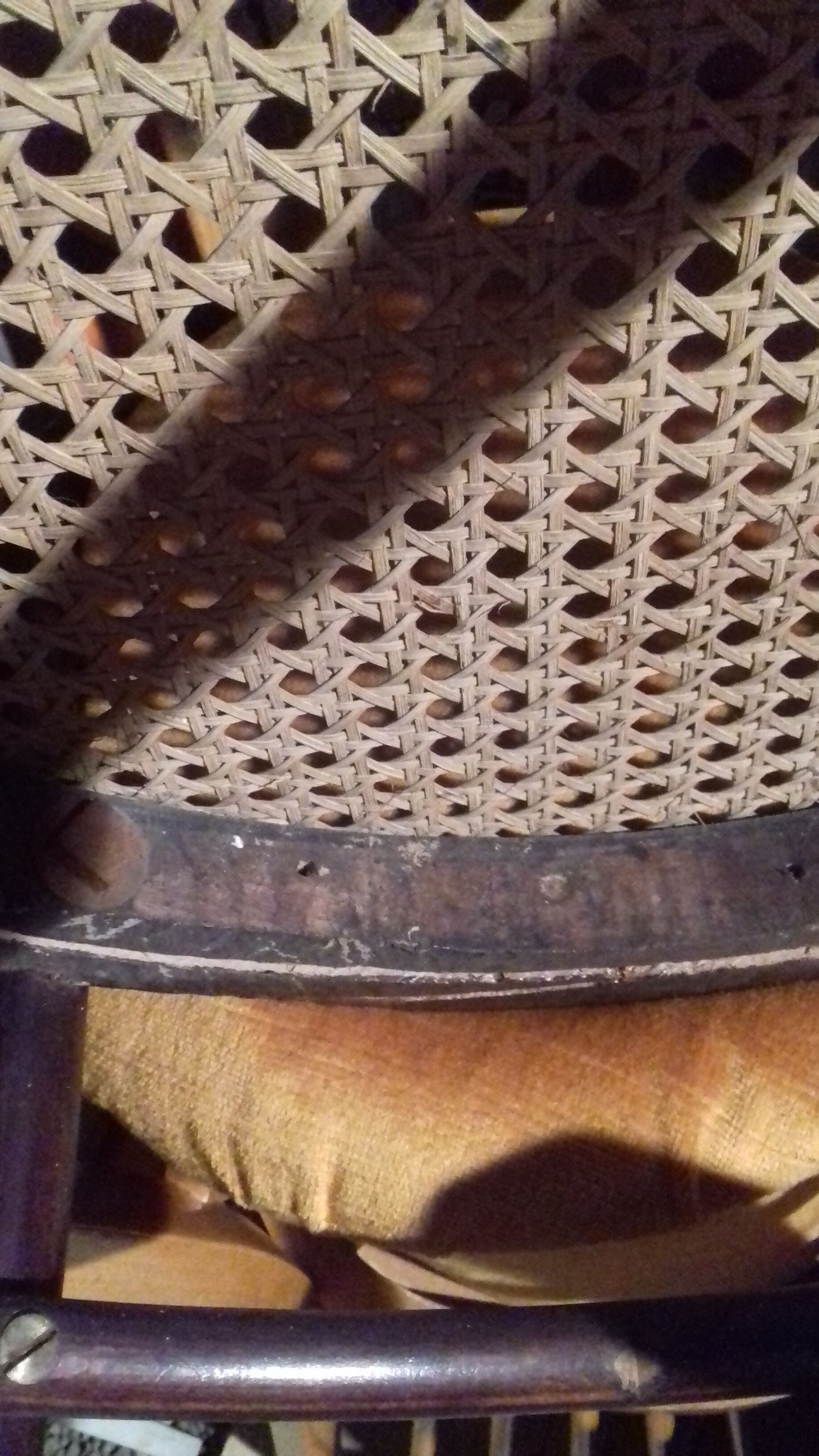 Thonet 209 chair called "le Corbusier"