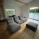 Roche Bobois sofa