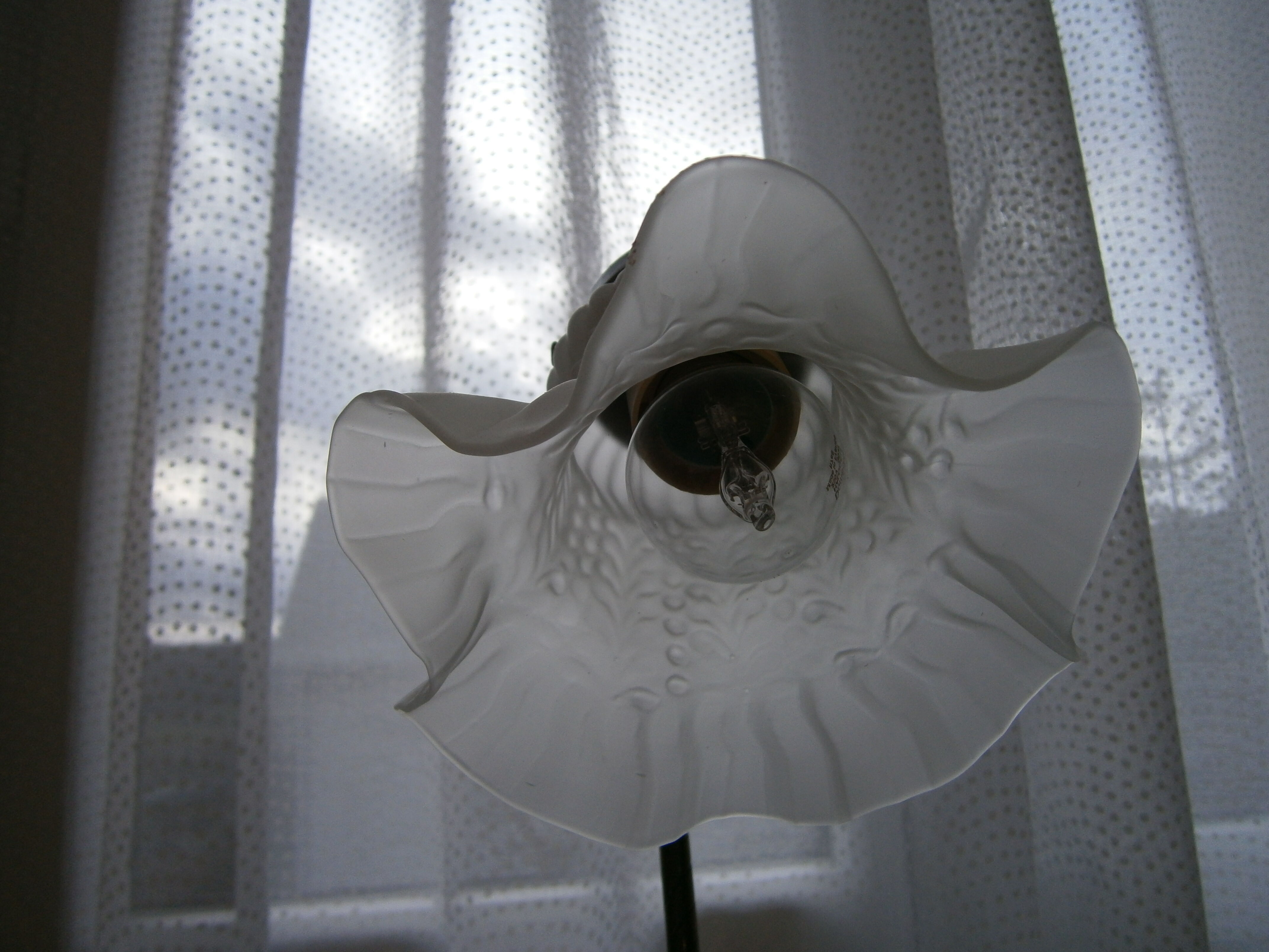 Lampe tulipe