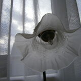 Lampe tulipe