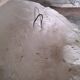 Antique 19th century plaster head to hang