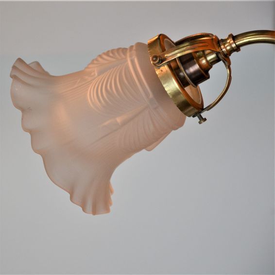 Brass gooseneck wall lamp and tulip lampshade