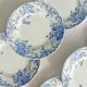 Lot de 6 assiettes semi-creuses terre de fer Saint Amand et Hamage, Campanule