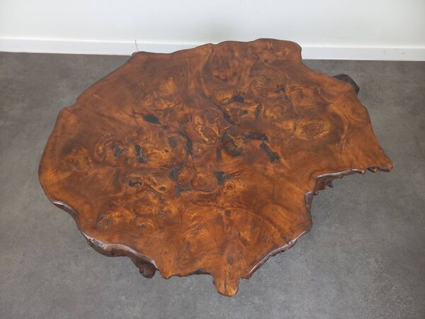 Table basse brutaliste en loupe d'orme