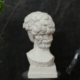 David head in waxed white concrete