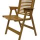Niko Kralj Rex Plywood Folding Chair for Stol 1950s in wood