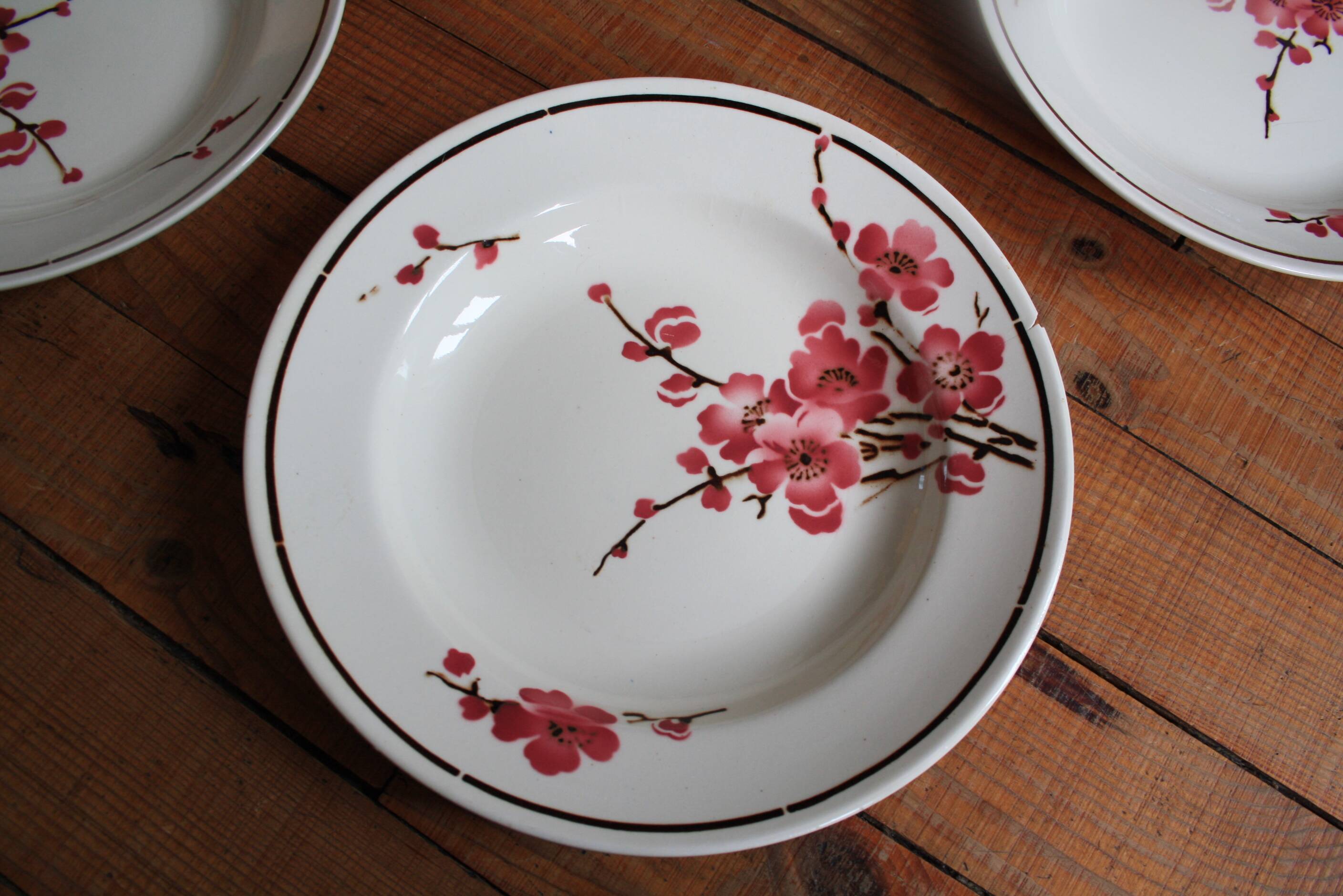 Set of 6 Terre de Fer St Amand "cherry" deep plates