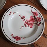 Set of 6 Terre de Fer St Amand "cherry" deep plates