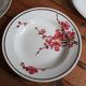 Set of 6 Terre de Fer St Amand "cherry" deep plates