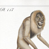 Set of 2 chimeras lithograph animal engraving