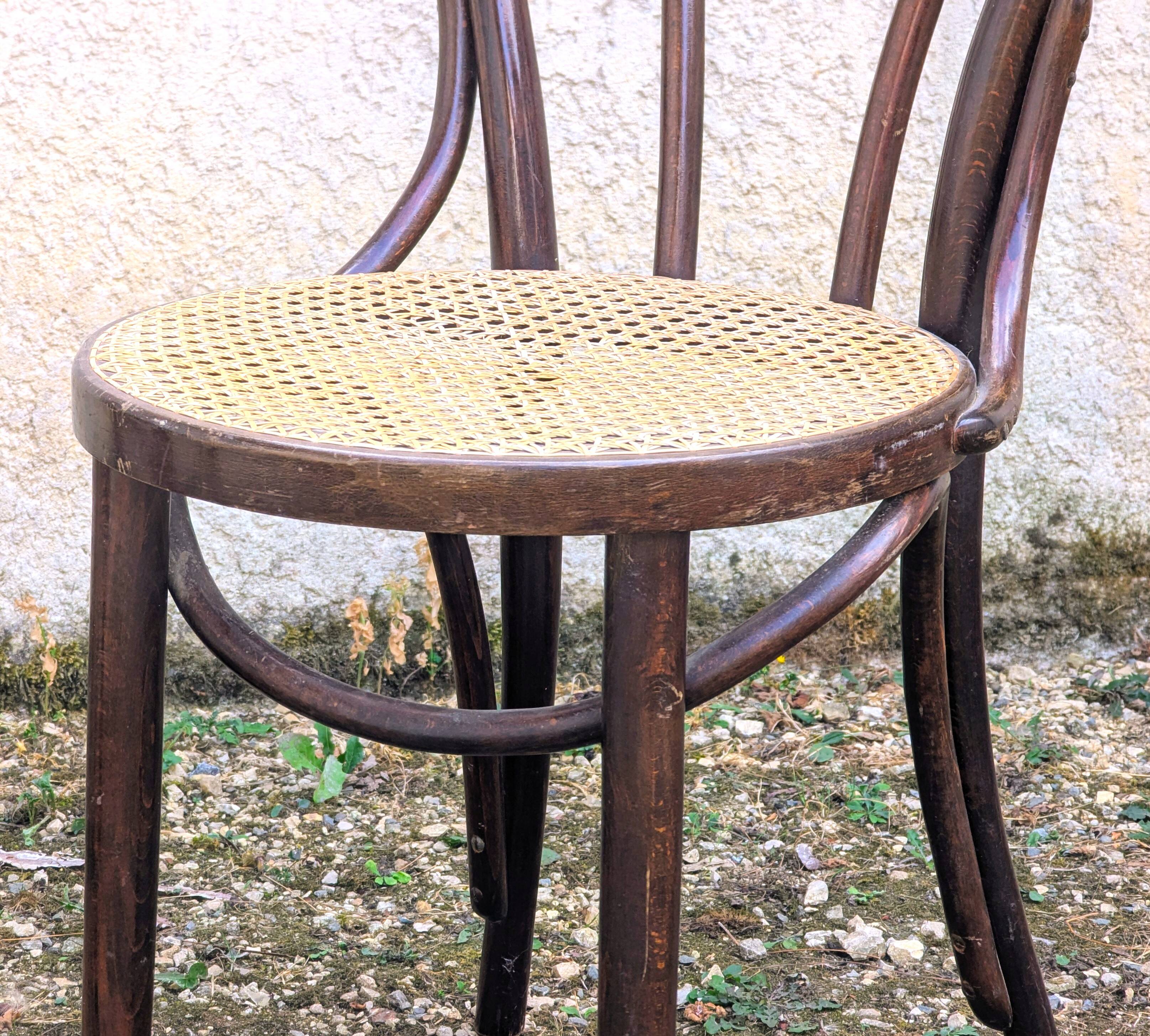 Two Thonet chairs Romania model Charlie Chaplin from the 1950s/60s.