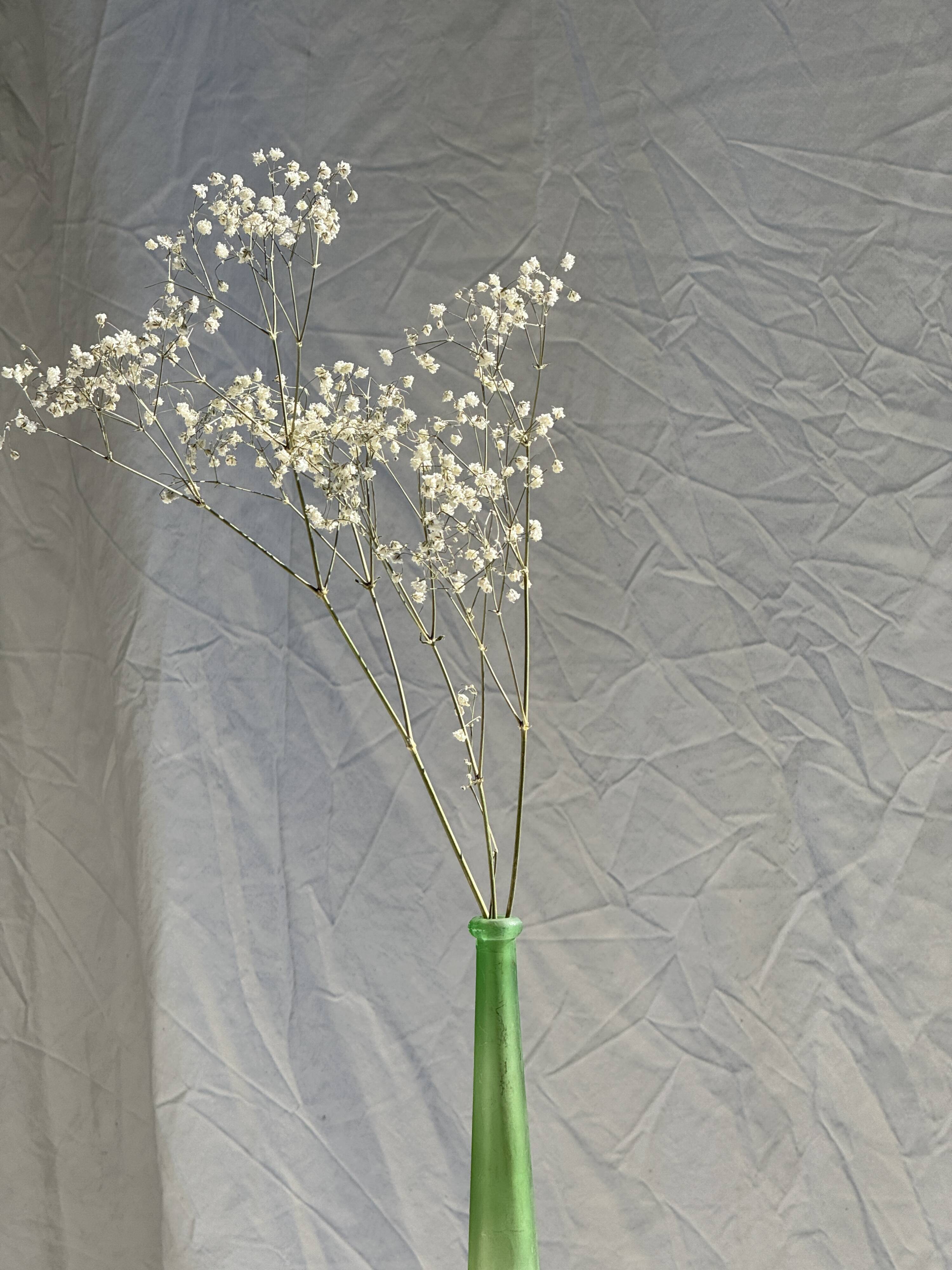 Vintage polished green glass soliflore vase H32