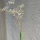 Vintage polished green glass soliflore vase H32