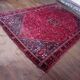 Handmade Shiraz Persian Rug 265x172cm