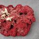 Corail a poser 25 cm