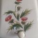 Charbonnière 1900 tôle emaillée décor fleurs