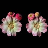 Pair of flower girls