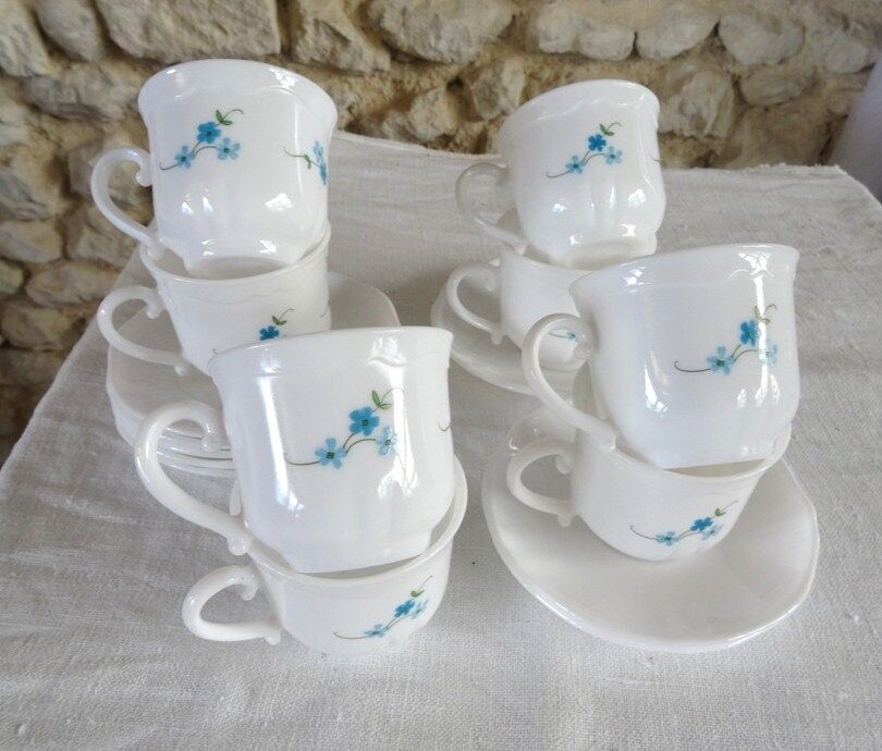 8 Cups myosotis - 8 per cups arcopal