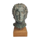 Bust of Alexander the Great in plaster in imitation of bronze