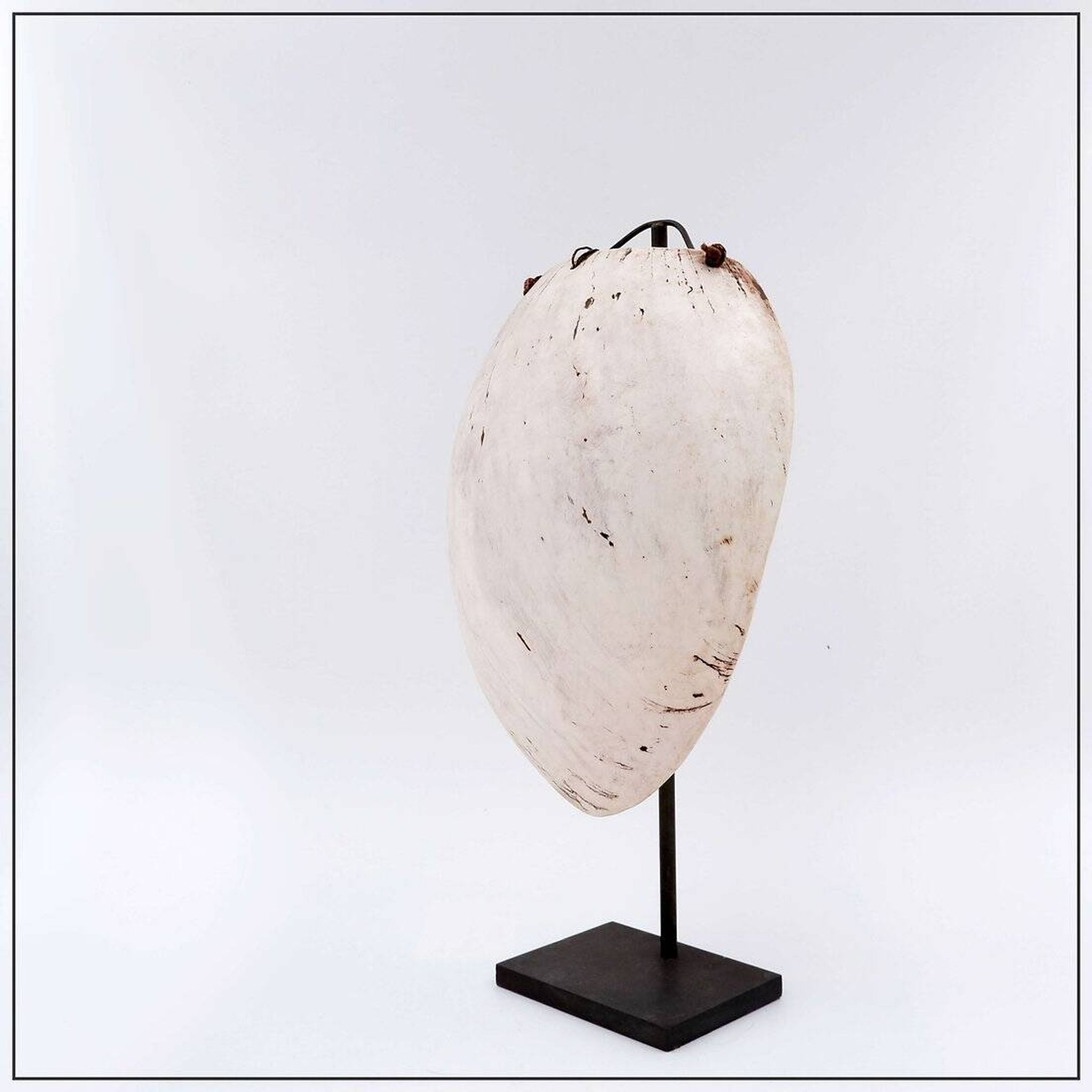 New Guinea Shell Breastplate