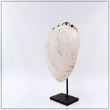 New Guinea Shell Breastplate