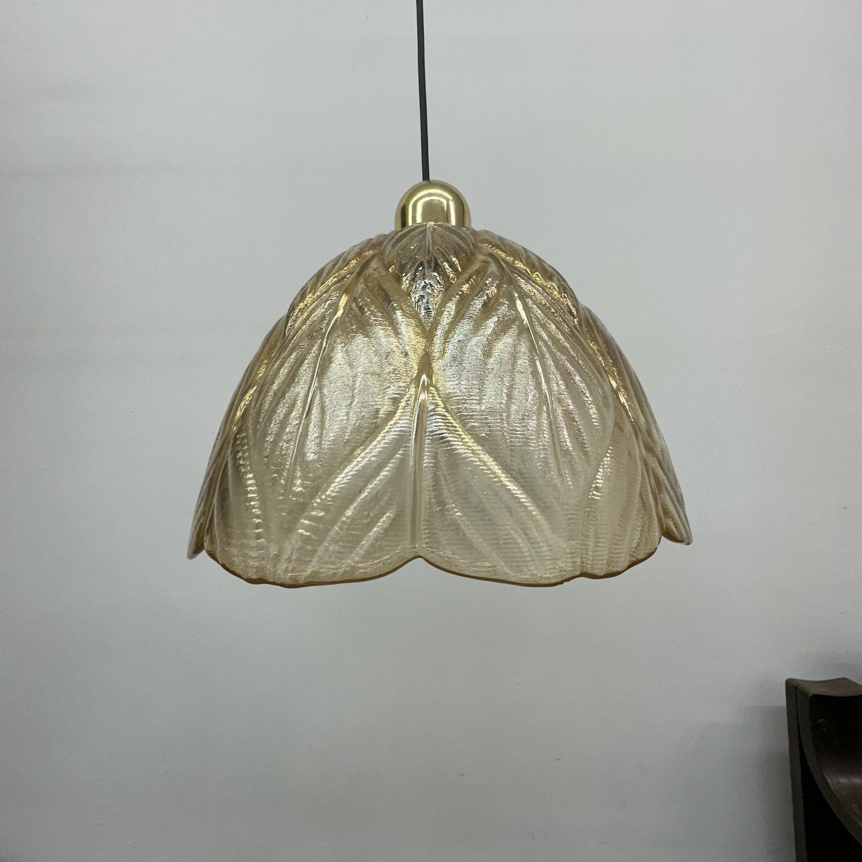 Peil & Putzer glass leaf hanging lamp , 1970’s