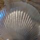 Assiettes coquilles saint jacques