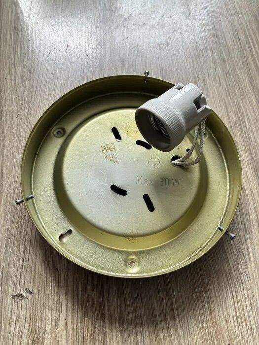 Vintage Glashütte Limburg Flower Glass Flush Light 1960s
