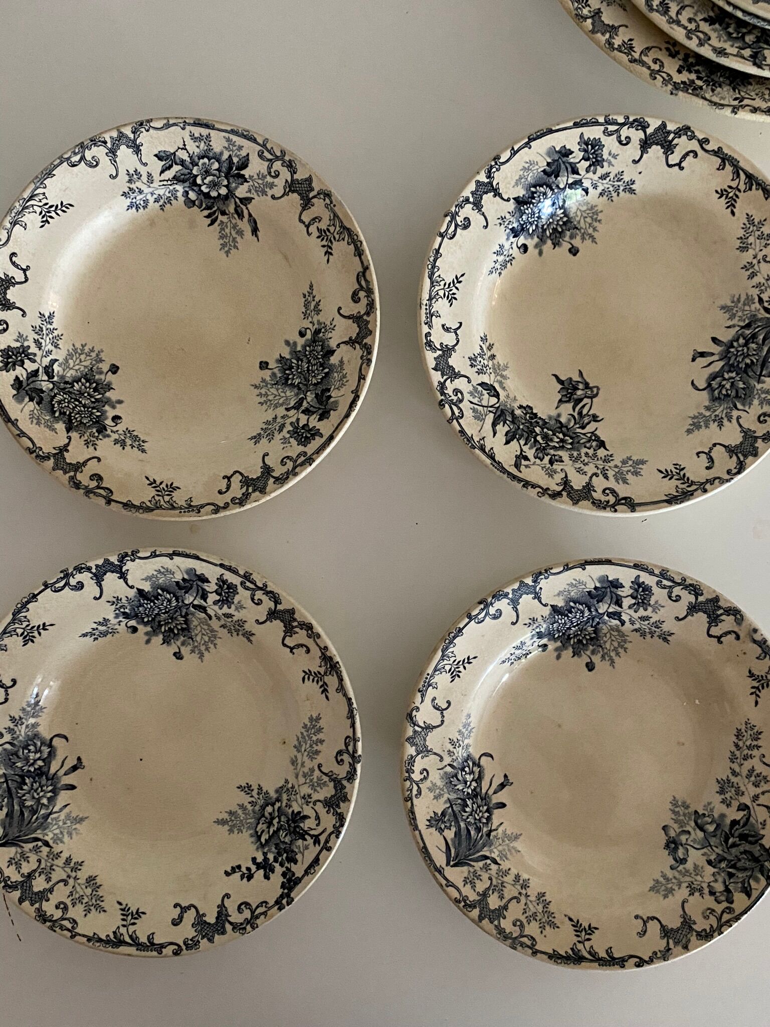 Hollow plates in iron earth, Boulenger