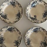 Hollow plates in iron earth, Boulenger