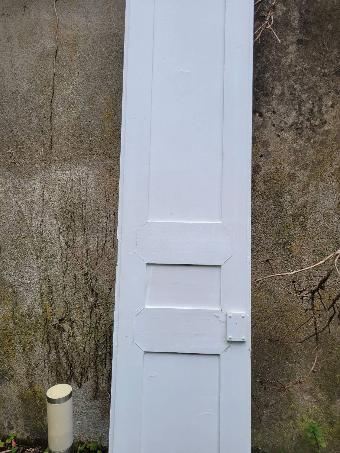 Old wall cupboard door H.239cm