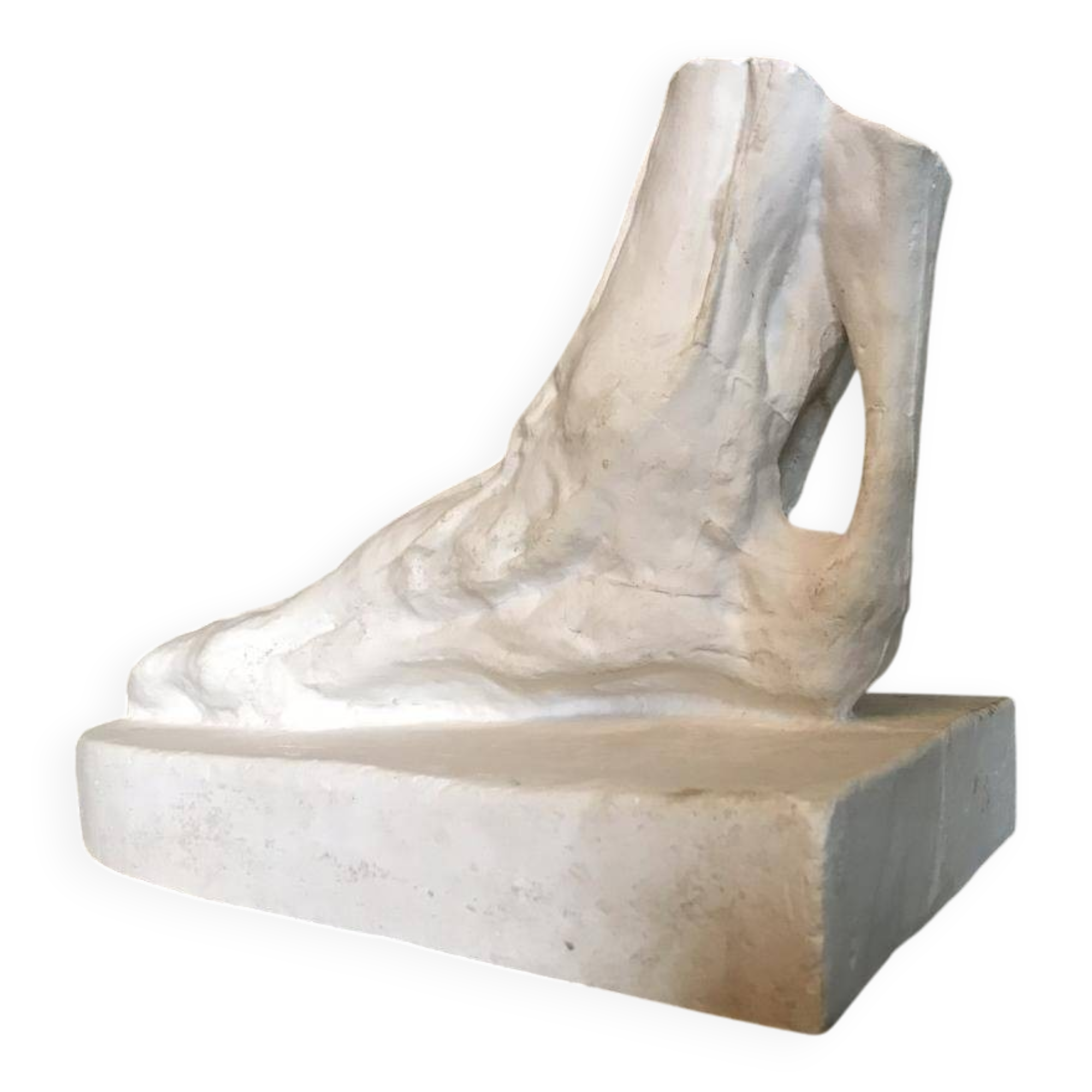 Plaster cast of a dissected foot
