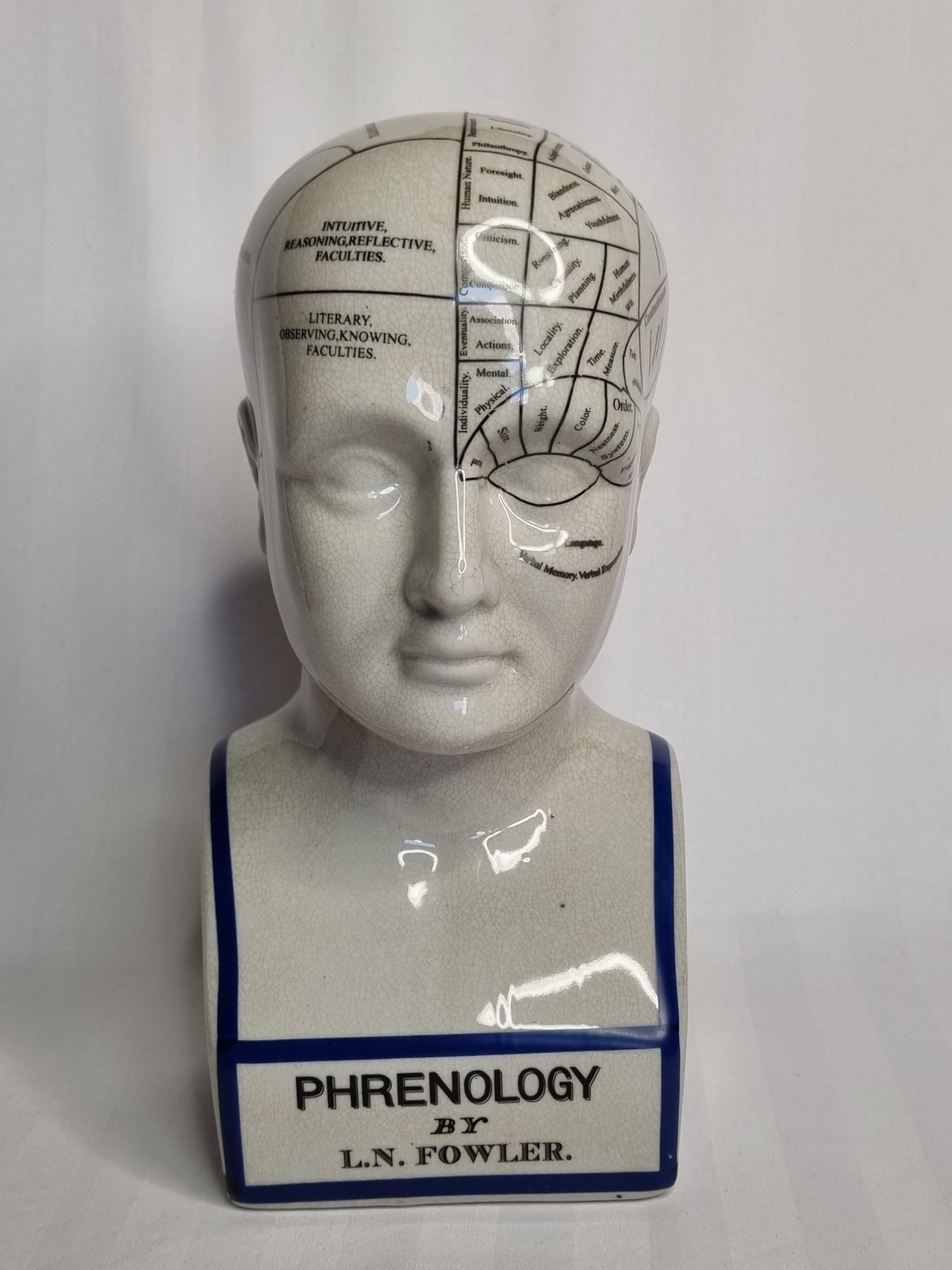 Phrenology bust after d'après L.N. Fowler