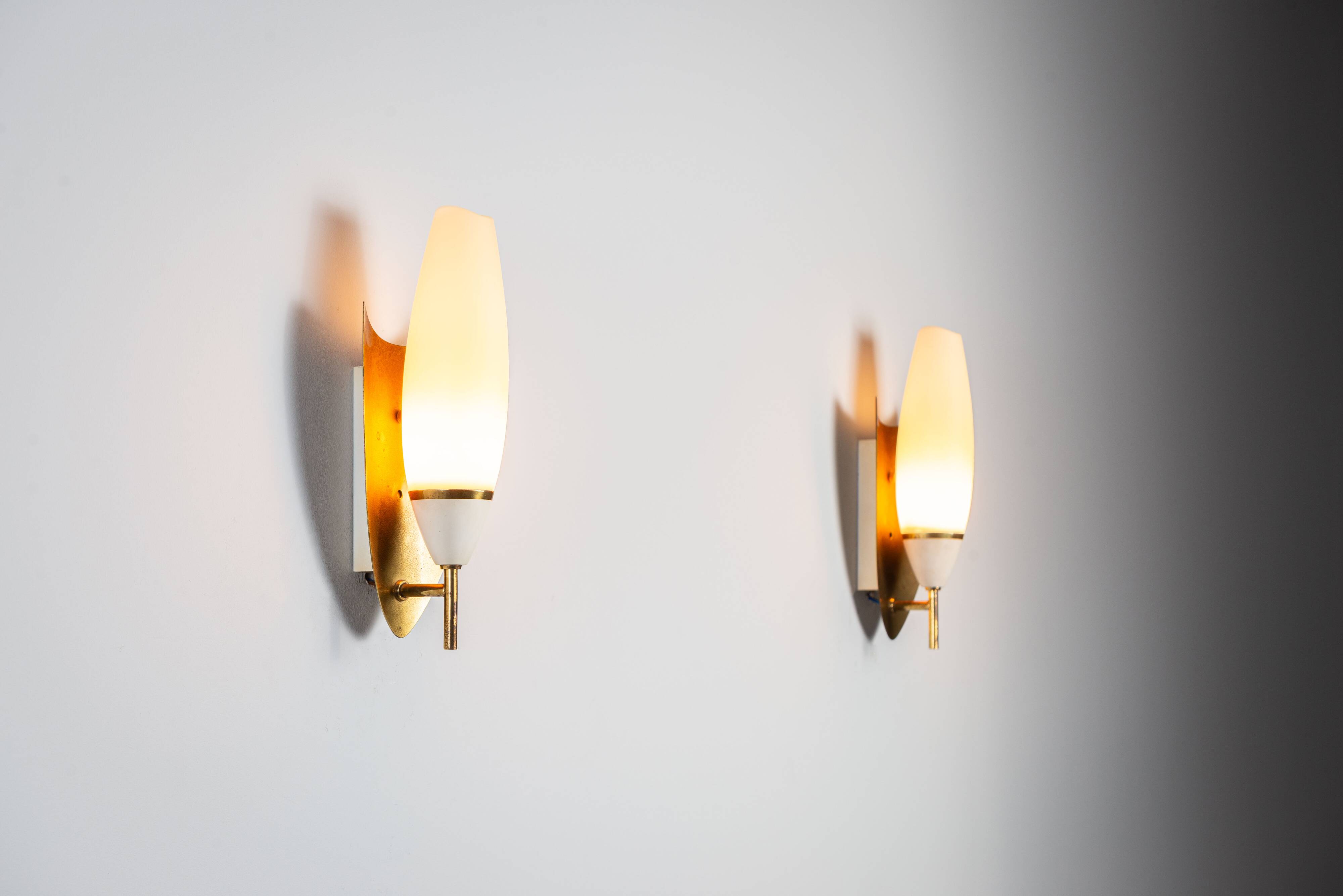 Pair of wall lamps with brass shields and glass shades