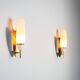 Pair of wall lamps with brass shields and glass shades
