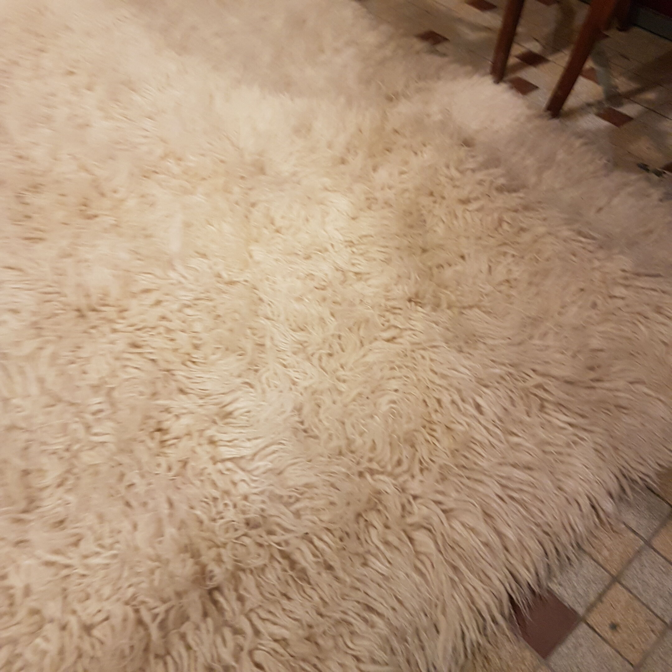 Vintage carpet in long hairwool 280 x 165 cm