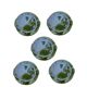 Green slip fish set – 6 pieces