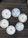 Set of 6 mismatched iron earth flat plates