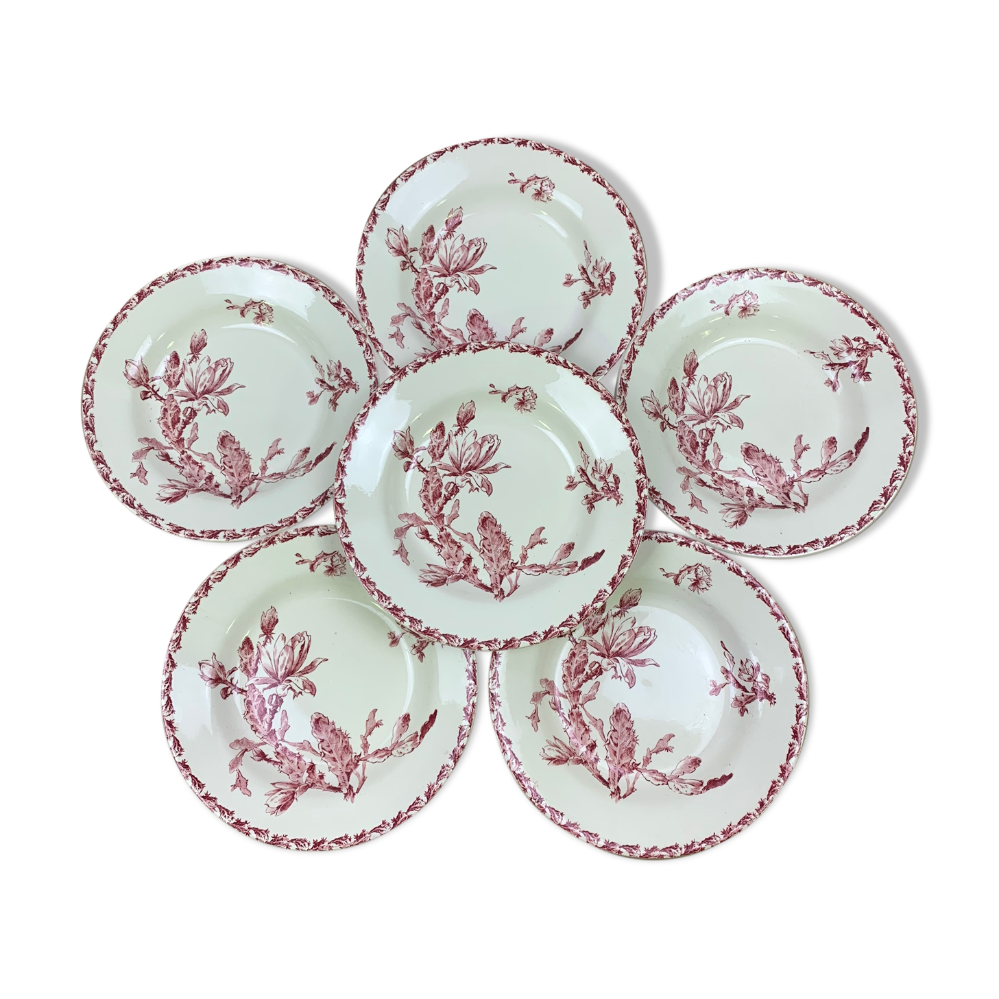 Lot de 6 assiettes creuses modèle Cactus de Gien