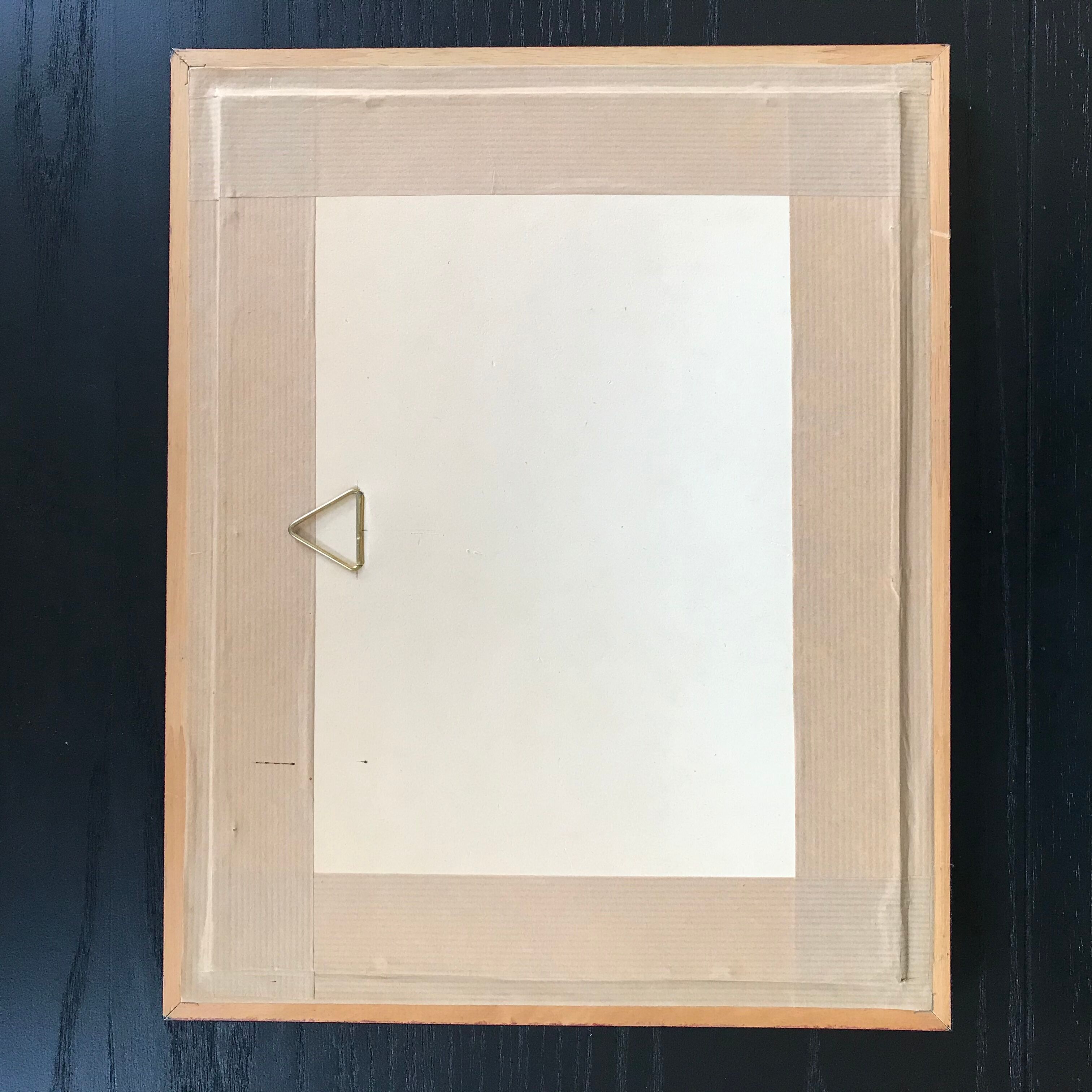 Botanical watercolour signed and framed