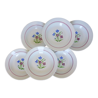6 soup plates from Salins, Lily model