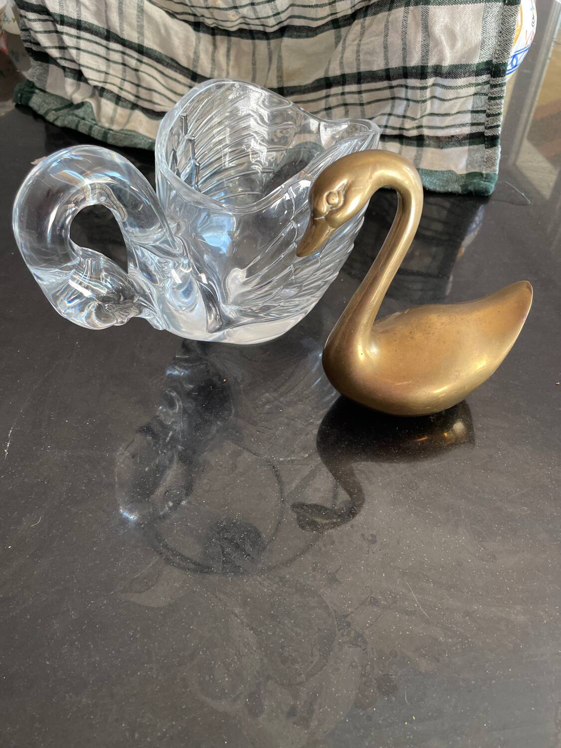Swan