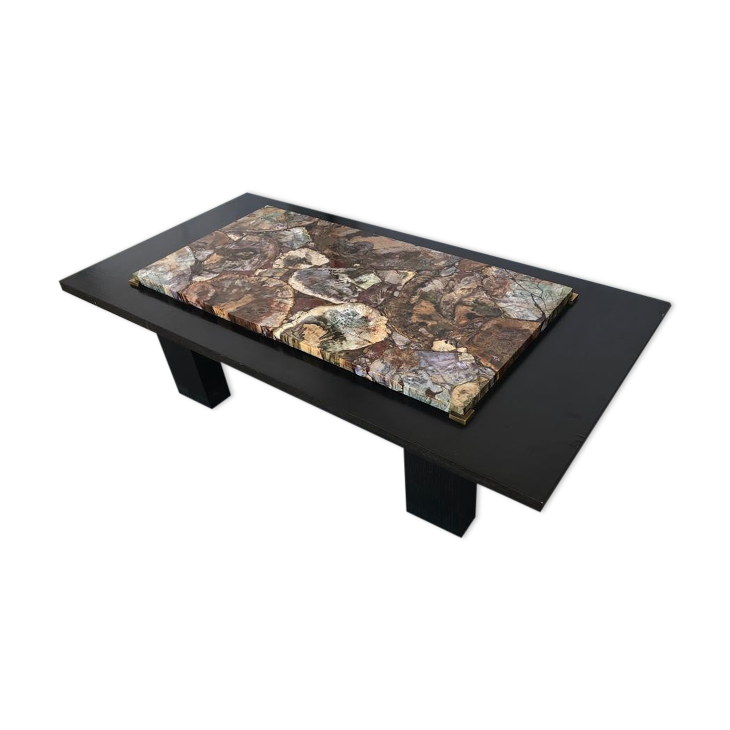 Coffee table with petrified wood top